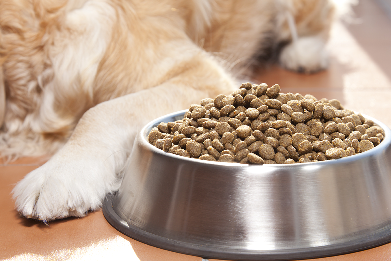ProSonix-for-pet-food-industry